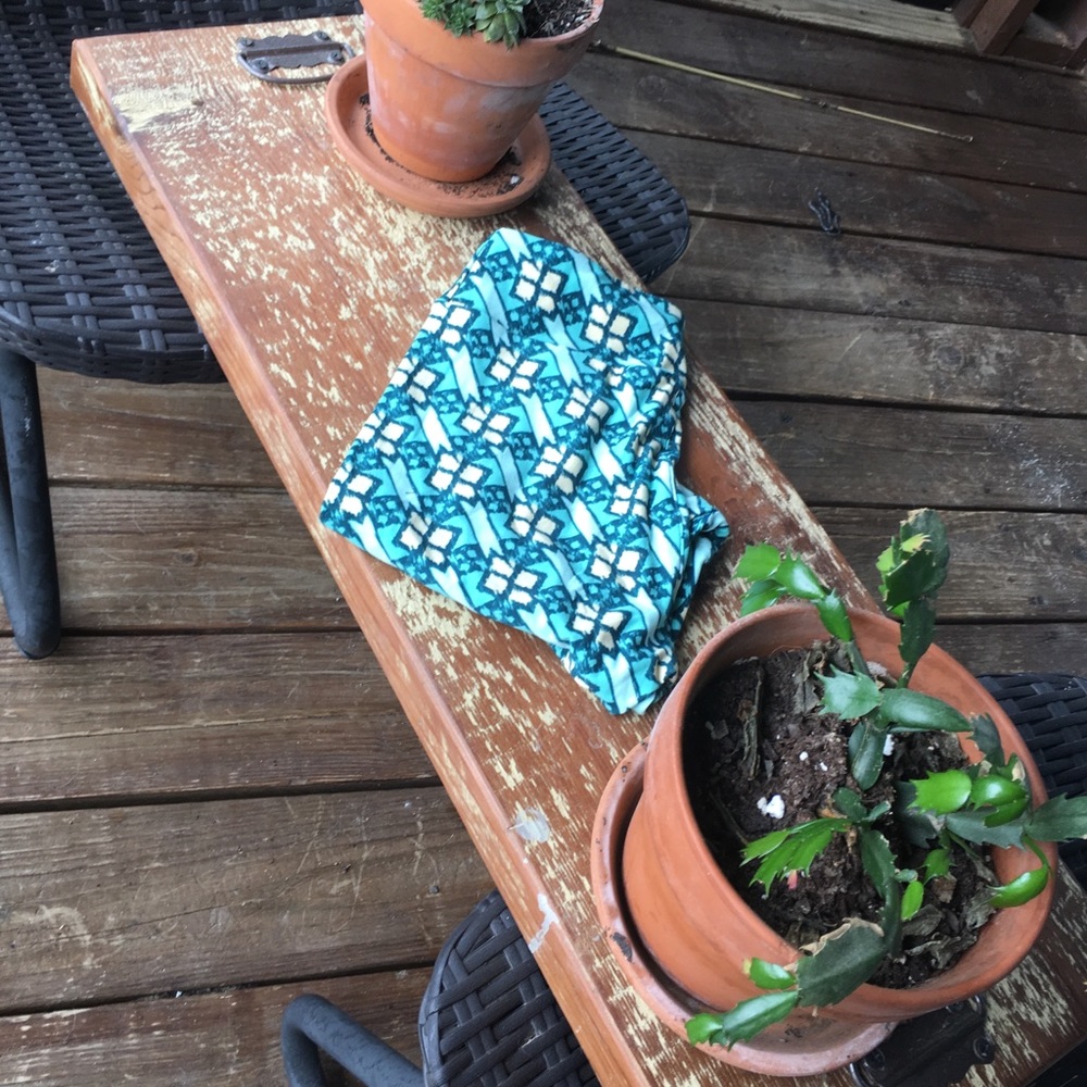 NWOT LuLaRoe Leggings - $10